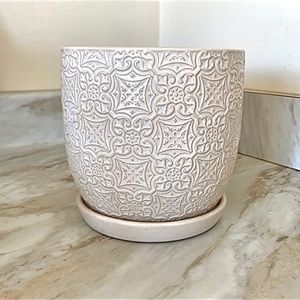 🪞 NEW Beautiful Carved garden planter